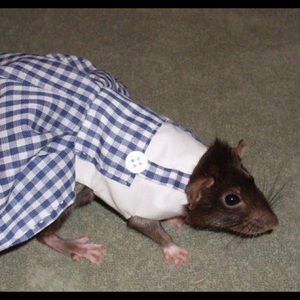 Meet your Posher, Juliette